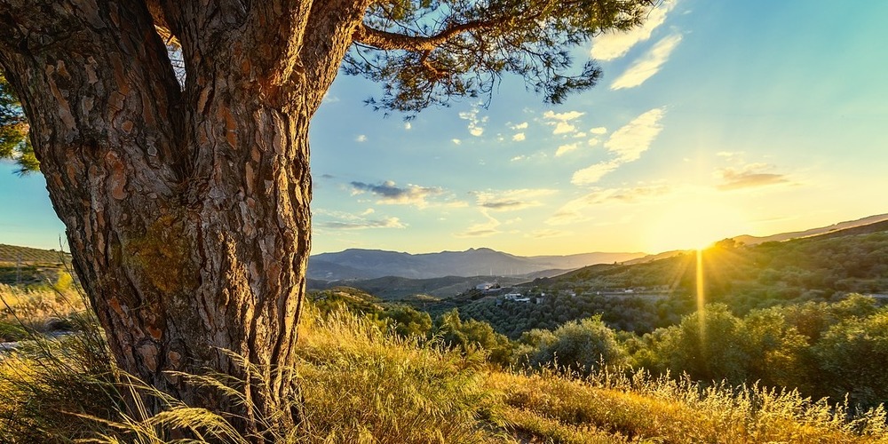 Sunset in Andalucia